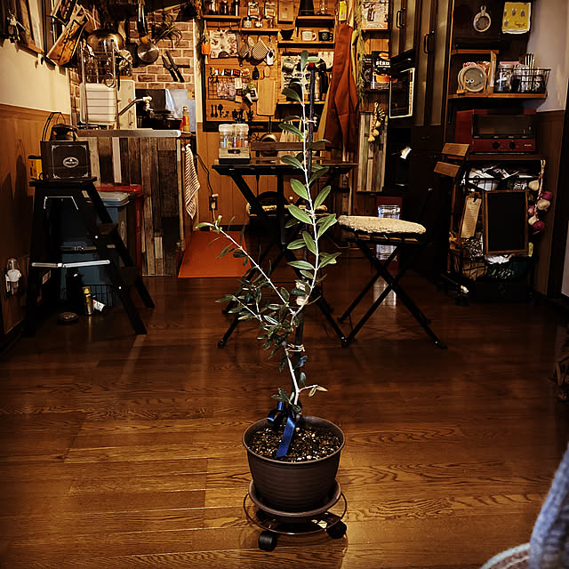 Tsuyoshiさんの実例写真