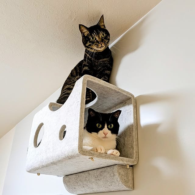 hihaさんの実例写真