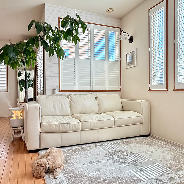 chobisukeさんの実例写真