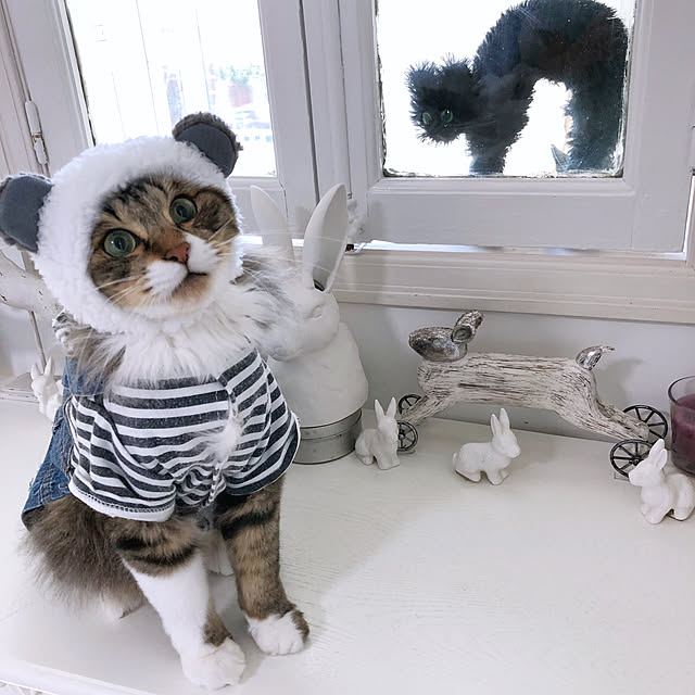 yuchiさんの実例写真