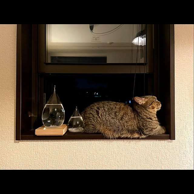 kajikissaさんの実例写真