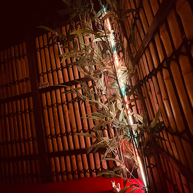 luckycatさんの部屋
