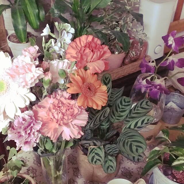 nobu05さんの実例写真