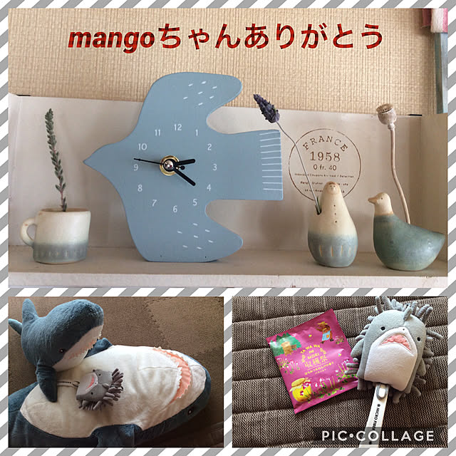 eighterさんの実例写真