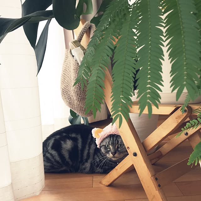 hiyupan88さんの実例写真