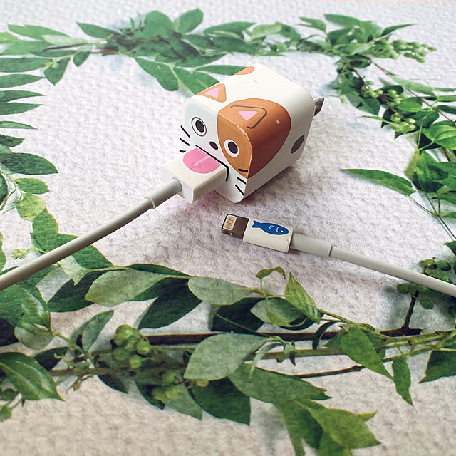 misarikuさんの実例写真