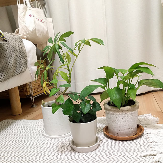 nontanさんの実例写真