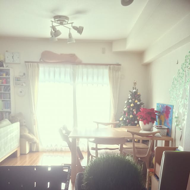 momoさんの実例写真