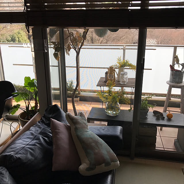 tacaco01180919さんの実例写真