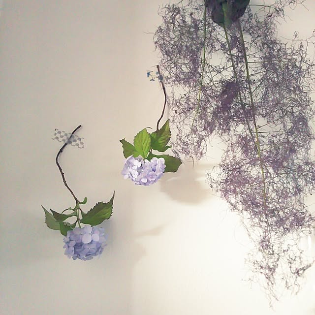 sacchiroronさんの実例写真