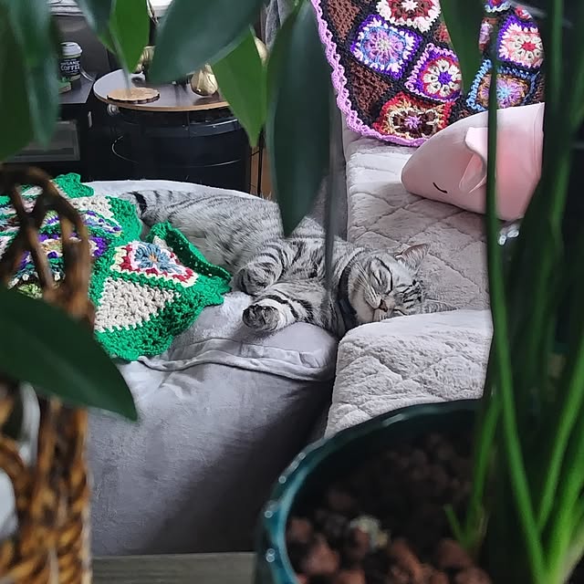 hiro3さんの部屋
