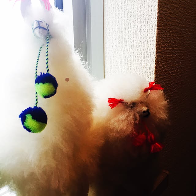 nagisaさんの実例写真