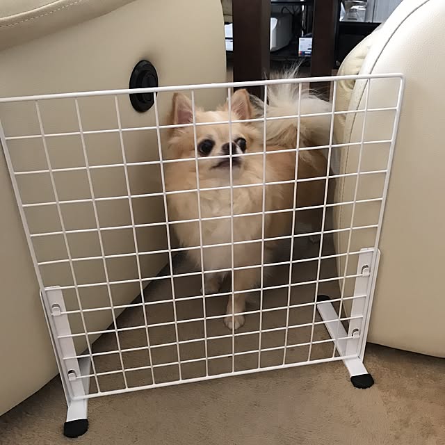 rosemaryさんの実例写真