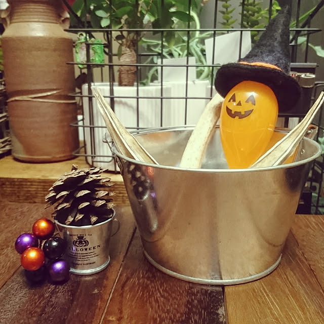 ledekoさんの実例写真