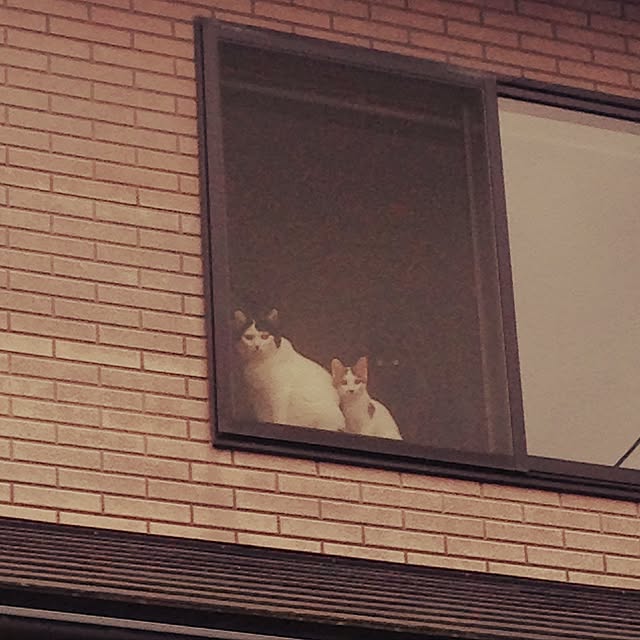 mikko3779さんの実例写真