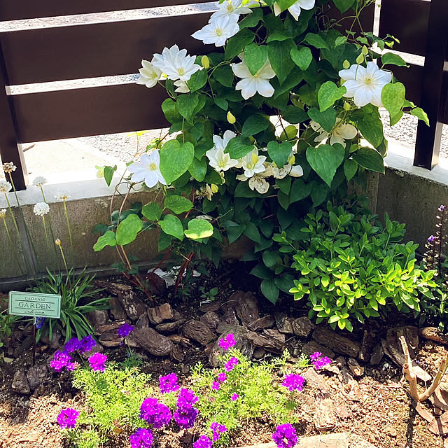 yukomamaさんの部屋