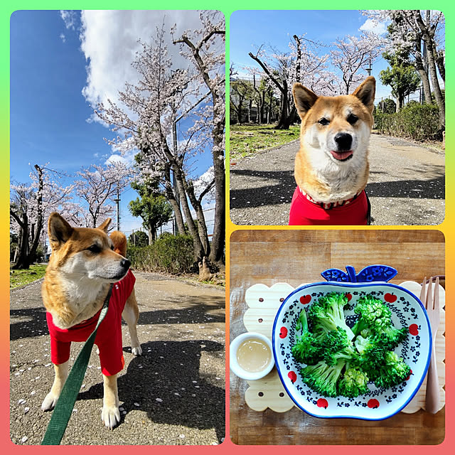 nanaさんの実例写真