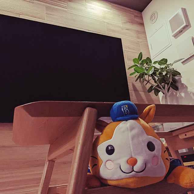 fumiさんの実例写真