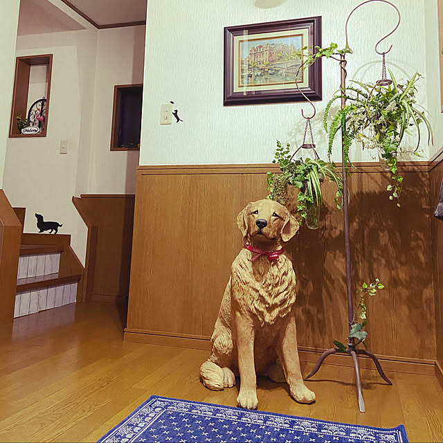 chocolatさんの実例写真