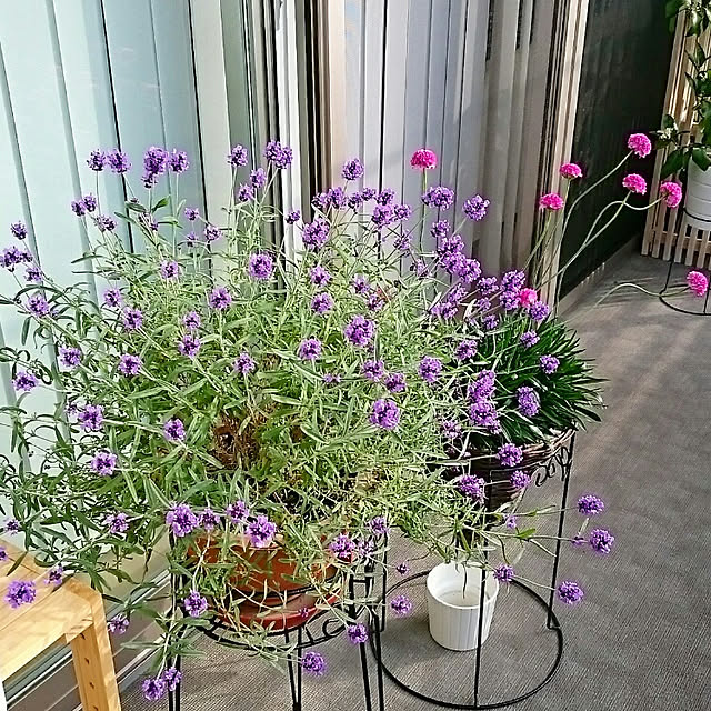 bee215さんの実例写真