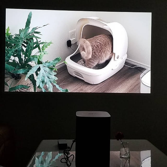 a.co.さんの実例写真