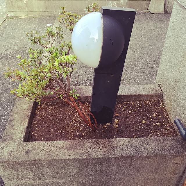 Yukiさんの実例写真