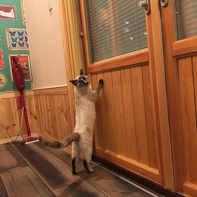 miyaさんの実例写真