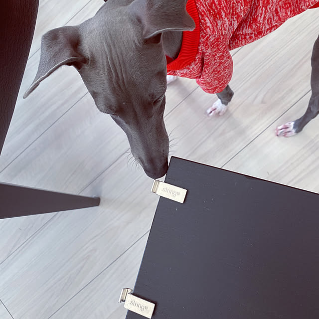 riakanaさんの実例写真