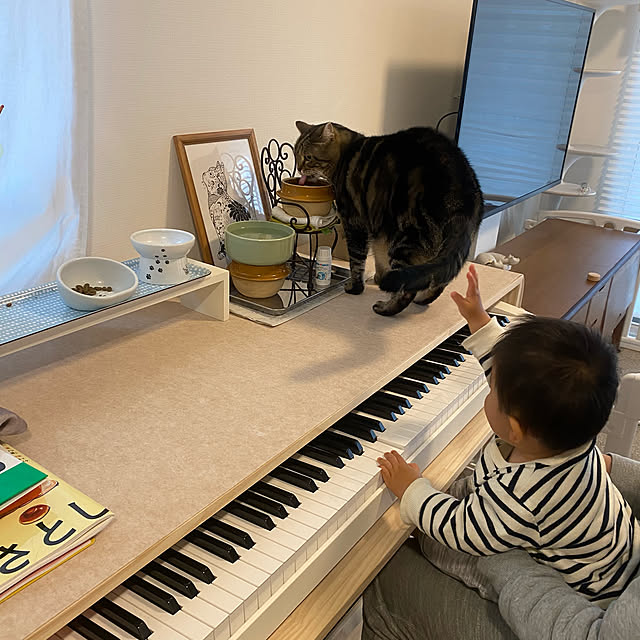 mikomaruさんの実例写真