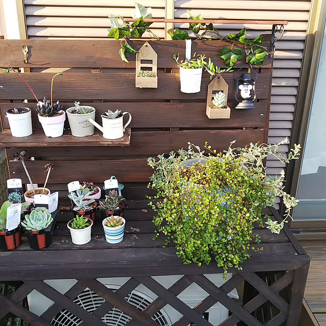 棚/多肉植物のインテリア実例 - 2019-10-04 17:03:44