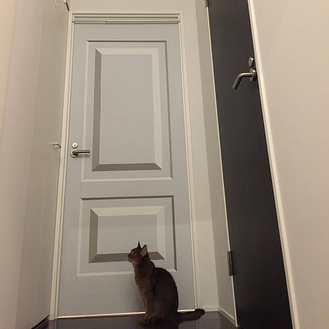 peach_catさんの実例写真