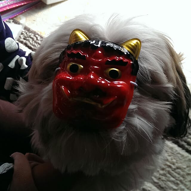 tibiさんの実例写真