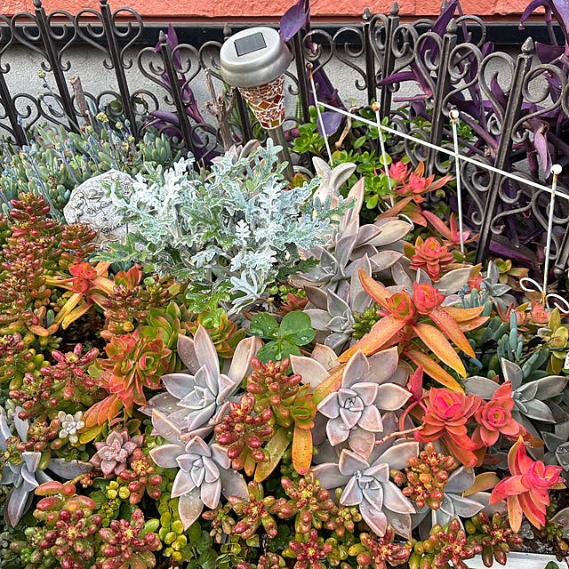 mukkuさんの実例写真