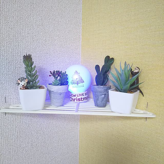 mzk5678910さんの実例写真