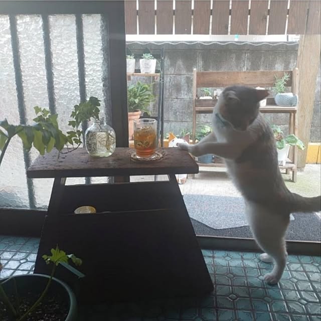 fukuさんの実例写真
