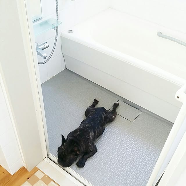 kuuuuさんの実例写真