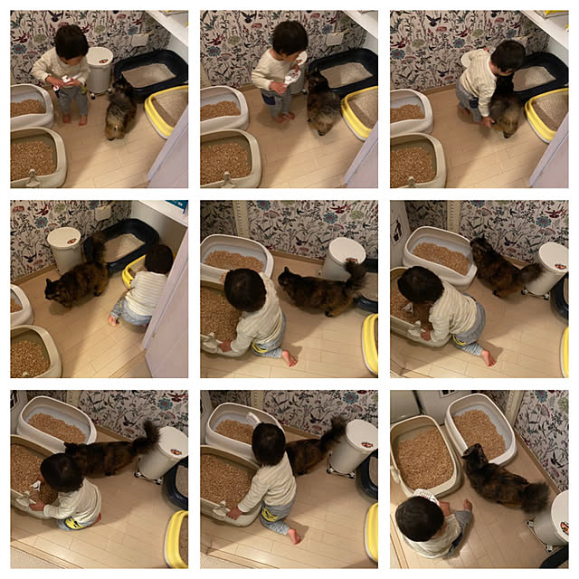 mikomaruさんの実例写真