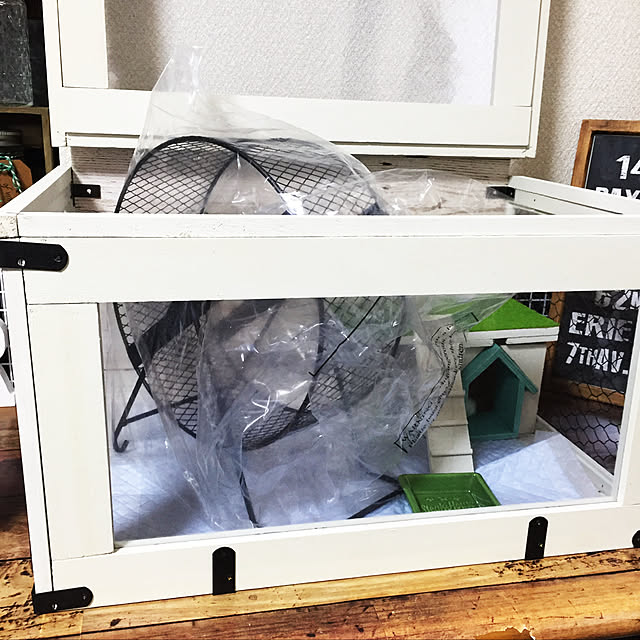 harukaさんの実例写真