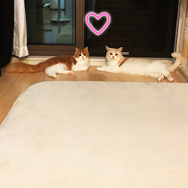 H.Tさんの実例写真
