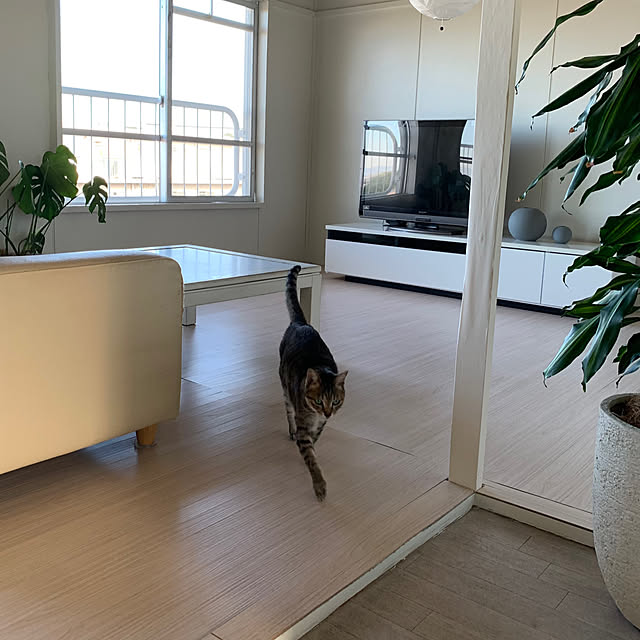 SATOHさんの部屋