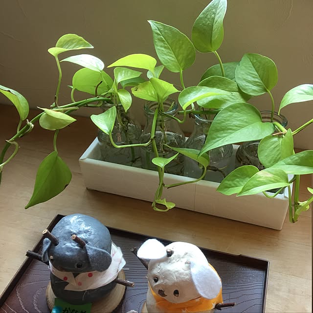 non-chanさんの実例写真