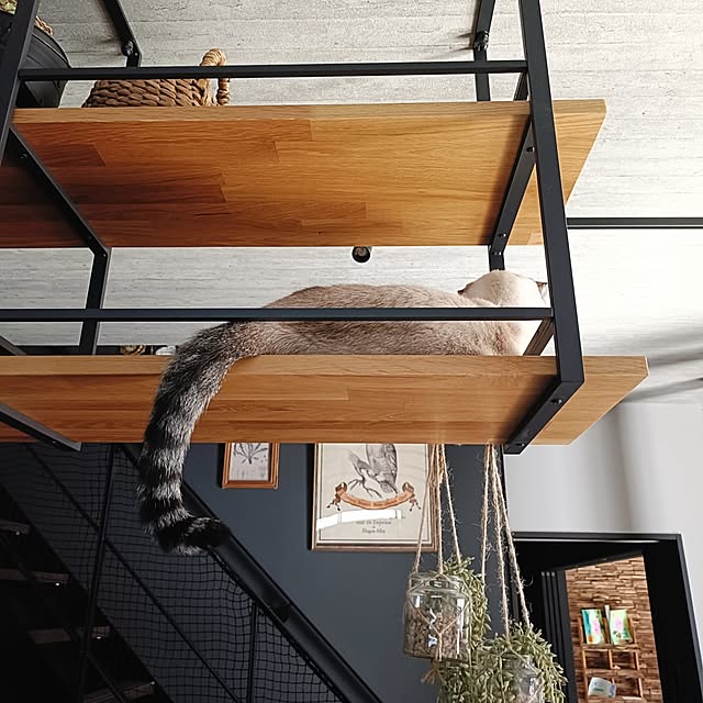 Atelier_tamakiさんの実例写真