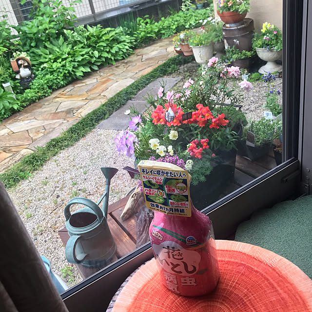 portulacaさんの実例写真