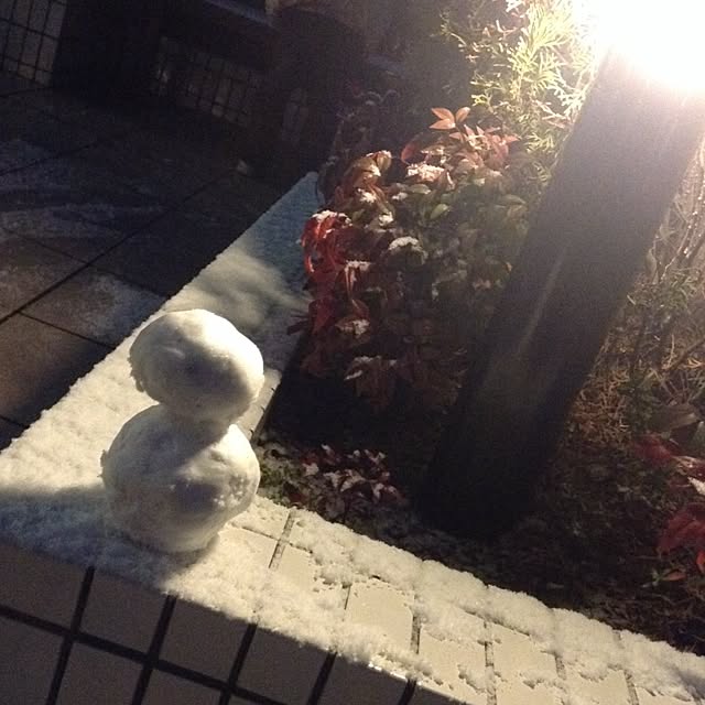 misakiさんの実例写真