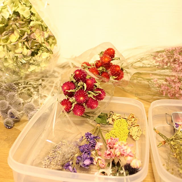 wisteriaさんの実例写真