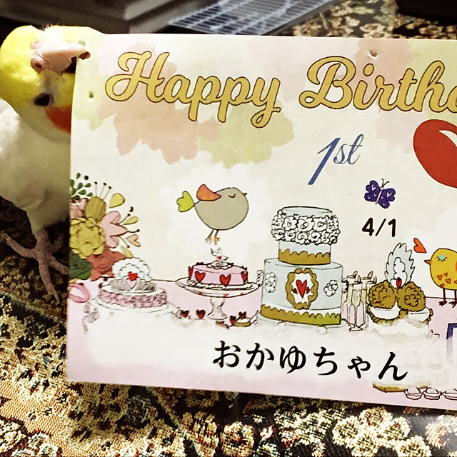 MIUOOさんの実例写真