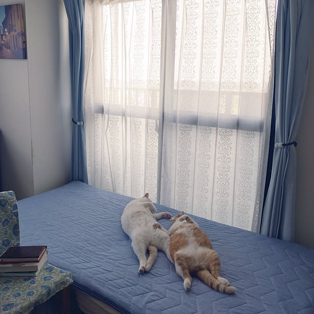 NOAHさんの実例写真
