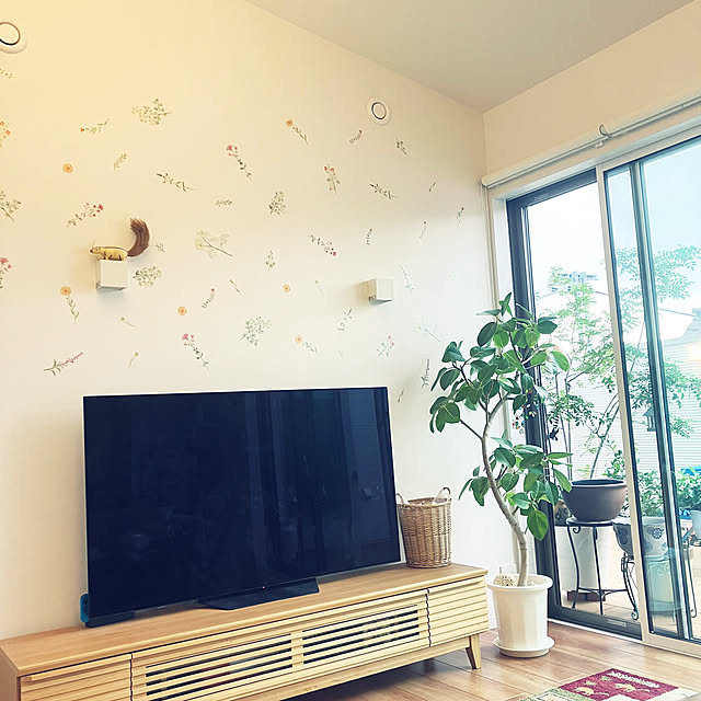 kotume_diaryさんの部屋