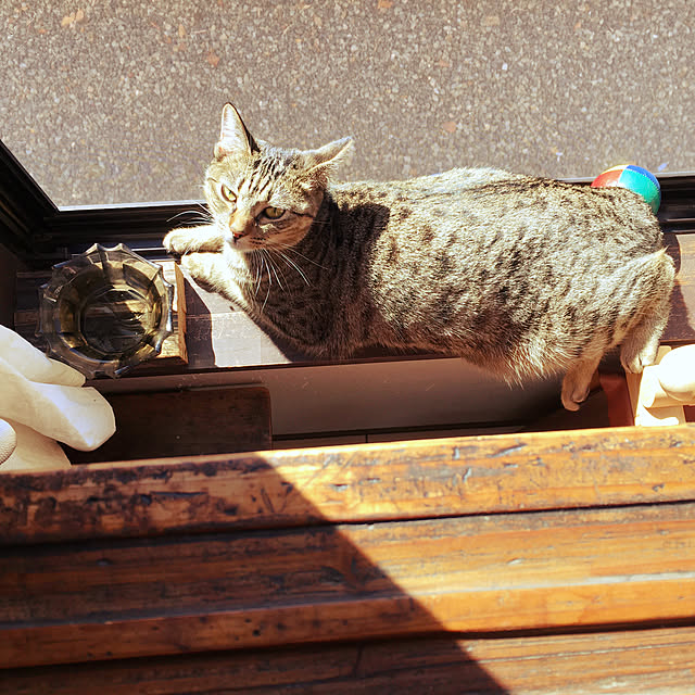 Mさんの実例写真