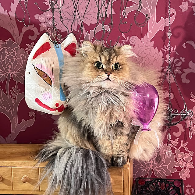 nananaさんの実例写真